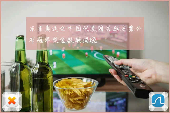 东京奥运会中国代表团奖励方案公布冠军奖金数额揭晓
