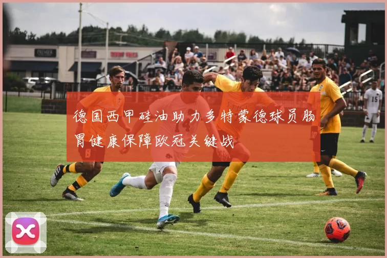 德国西甲硅油助力多特蒙德球员肠胃健康保障欧冠关键战