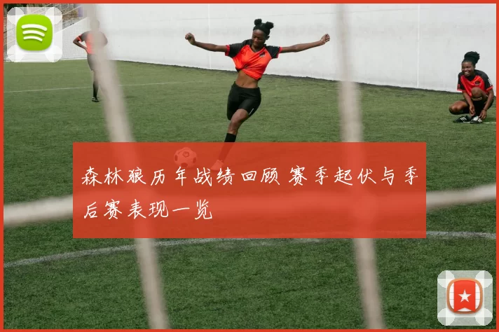 森林狼历年战绩回顾 赛季起伏与季后赛表现一览