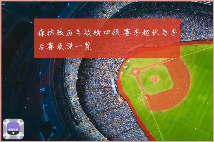 森林狼历年战绩回顾 赛季起伏与季后赛表现一览