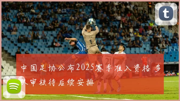 中国足协公布2025赛季准入资格 多队审核待后续安排