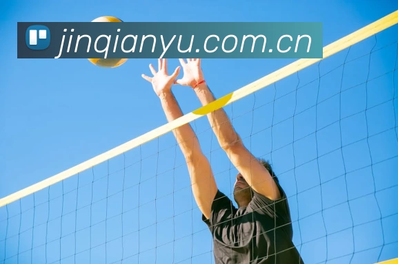 B体育·(B - sports)官方网站平台生态图